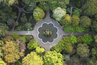 洪山校区中心花园鸟瞰